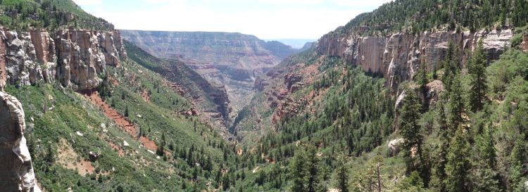 Panoramic taken from Coconino Overlook