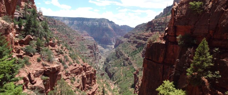 Panoramic looking down Roaring Springs Canyon