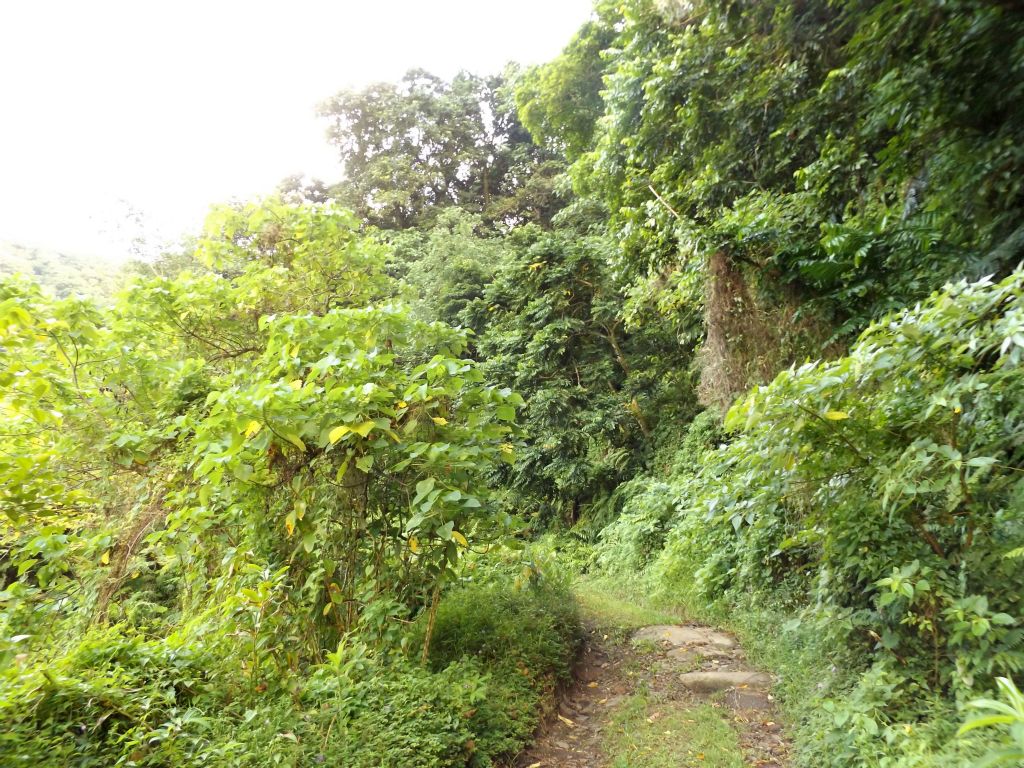 The trail passes through areas without much cover from the sun: