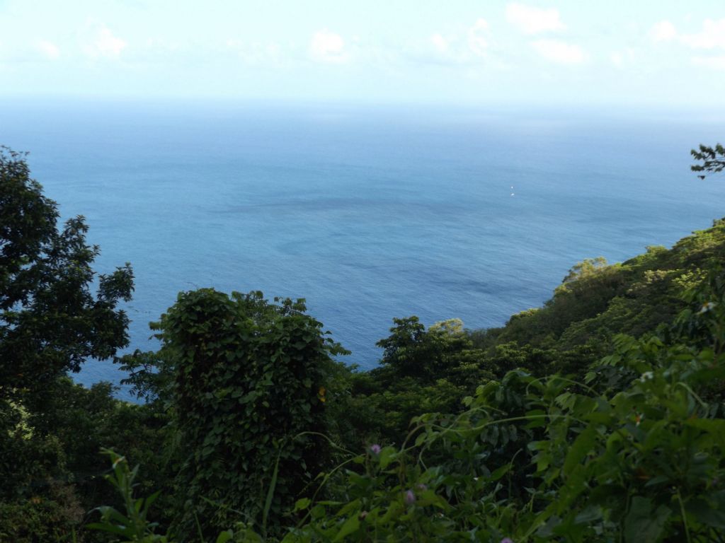 Looking out at the gorgeous blue water of the South Pacific ocean: