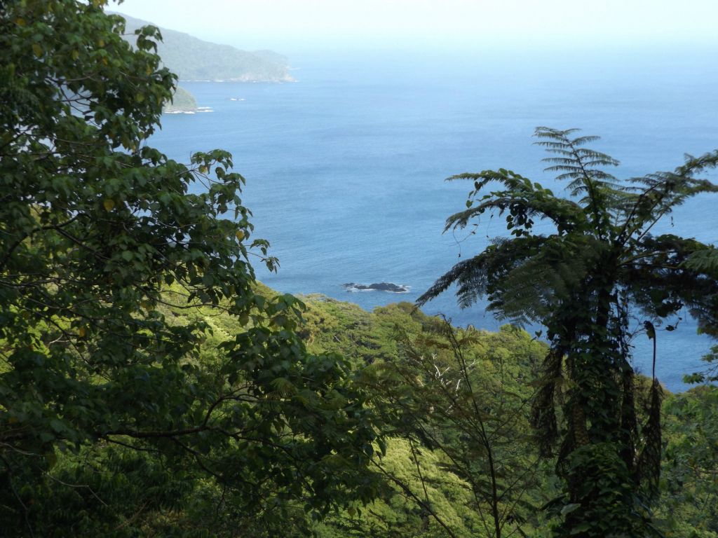 Land is faintly visible on the left side, but something else caught my attention in the water closer to shore: