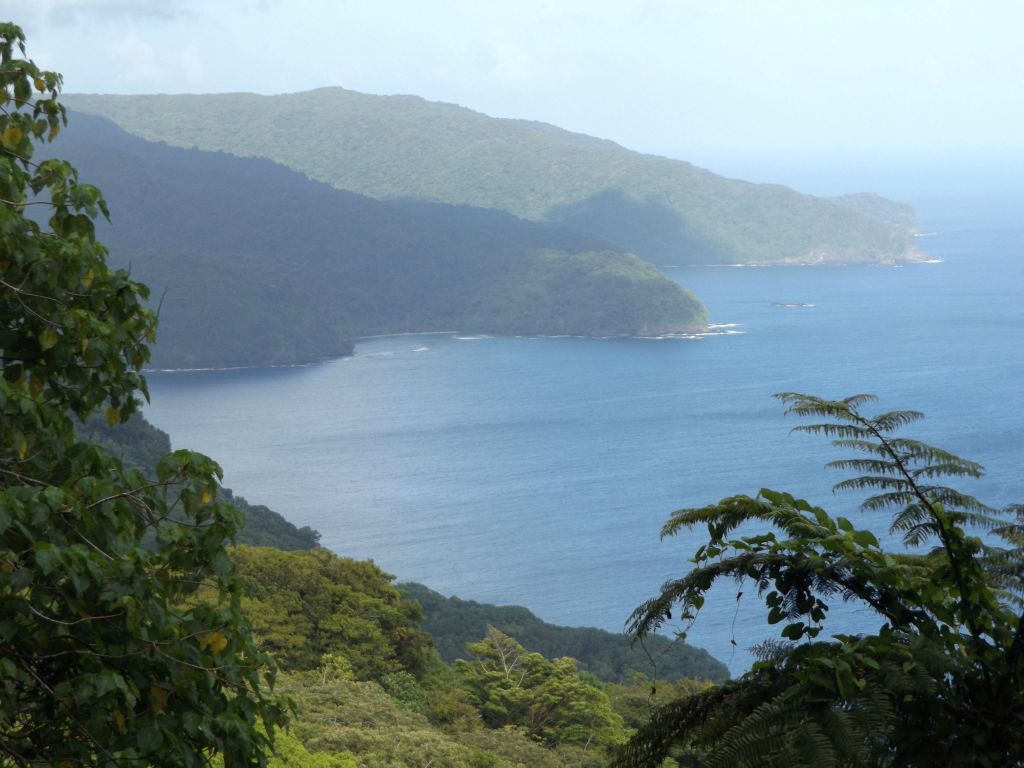 There was a view of Massacre Bay from this spot.  Massacre Bay is the small circular bay visible at the left center.  The tip of that peninsula is Siliaga Point.  The tip of the peninsula behind it is Mataututele Point.  Square Head is faintly visible behind that on the right: