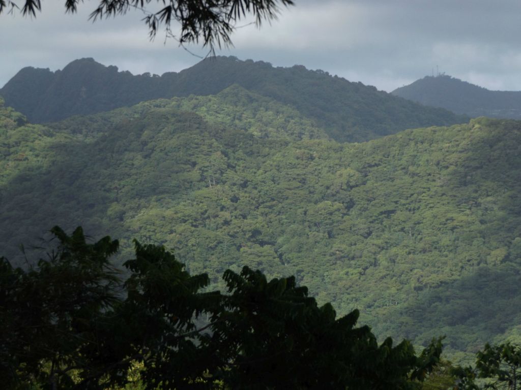 The peak at the background right is Olotele Mountain (1,617 feet) and the three peaks along the left side are part of the Tuasivitasi Ridge: