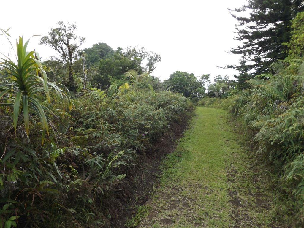 As the trail neared the summit, it ascended to the top of the ridge and there was less brush on the sides: