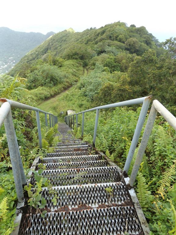 Looking back down the metal stairway at the trail and top of the ridge: