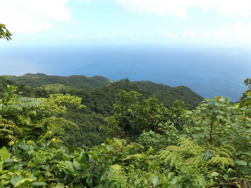 Looking down to the northwest.  On a perfectly clear day, it might be possible to see over 50 miles away to (Western) Samoa: