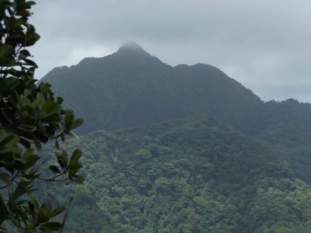 The clouds across the way finally cleared and I could now see the top of Matafao Peak: