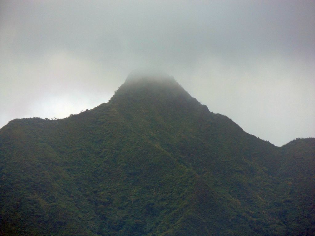 The hike to Matafao Peak actually starts at the same spot where my hike began.  Except it is a lot more challenging and treacherous in areas: