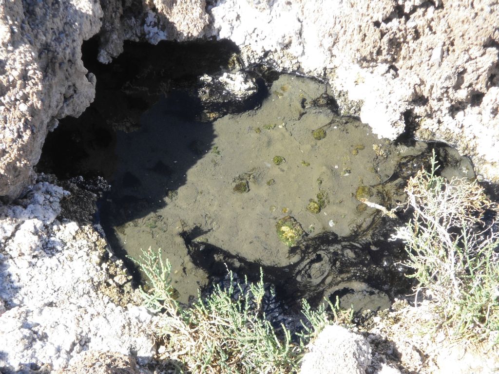 First appearance of water as a spring emerges from underneath the rocky salt formations: