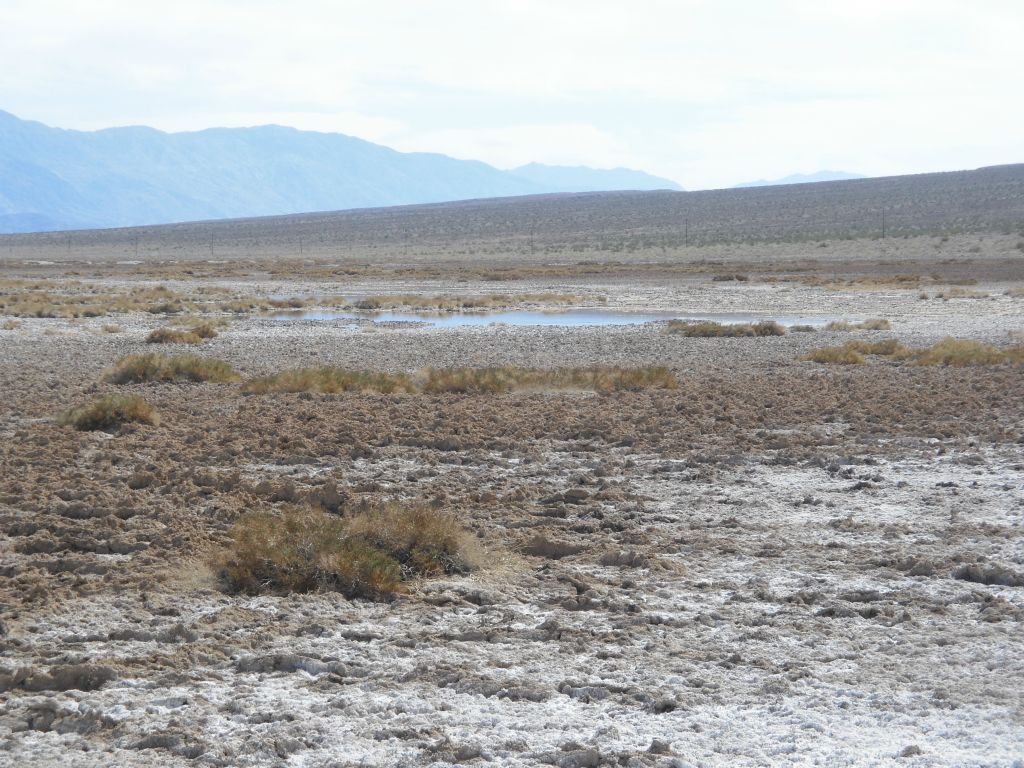 From this spot we could see the first marshy pond while standing at West Side Borax Camp: