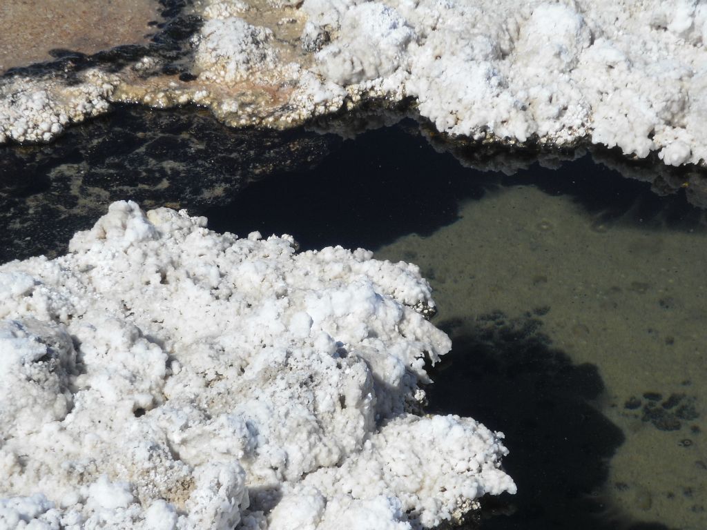 Zooming in on their hiding spot where they could swim under the salt formations and be protected: