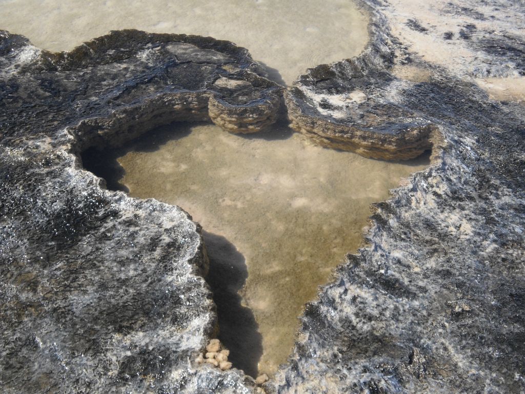 Such a beautiful pool for the pupfish to swim in.  Note the small opening that pupfish can swim through at the top of the heart-shaped pool: