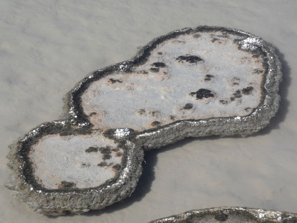 In the next six pictures, you can see some more small islands, pond edges, and pupfish swimming: