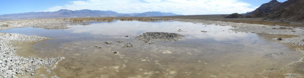 Panoramic of the first marshy pond of Cottonball Marsh: