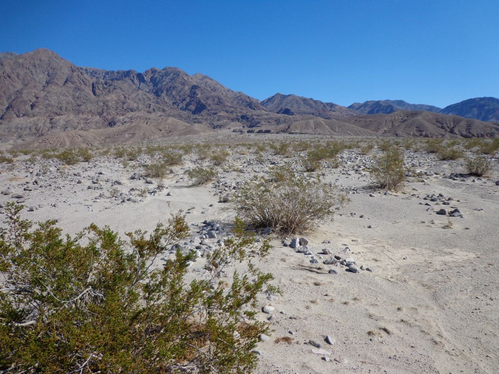 Looking up the long wide wash from the parking area along Badwater Road: