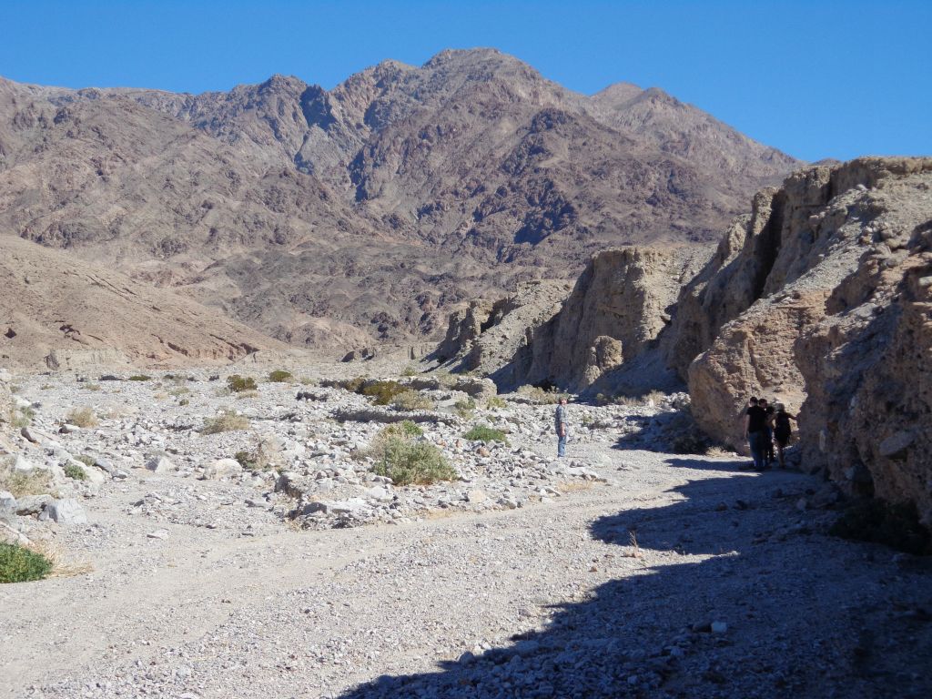 Eventually the wash narrowed down and small hillsides formed on each side: