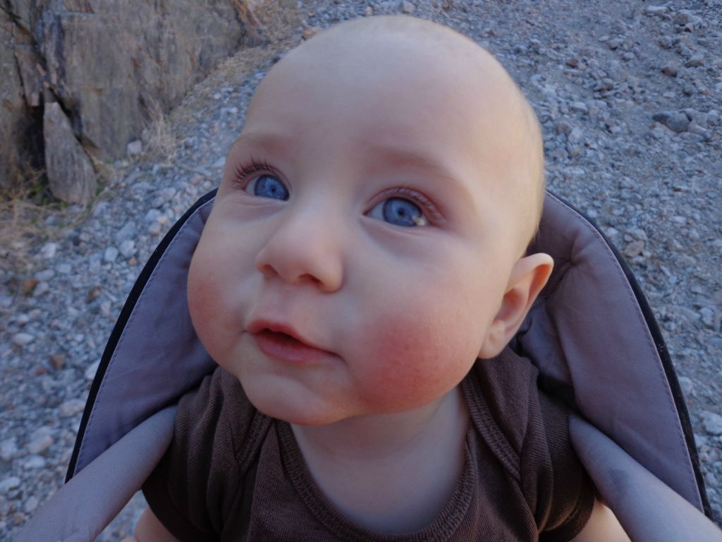 Stefan enjoying yet another hike in Death Valley in his carrier: