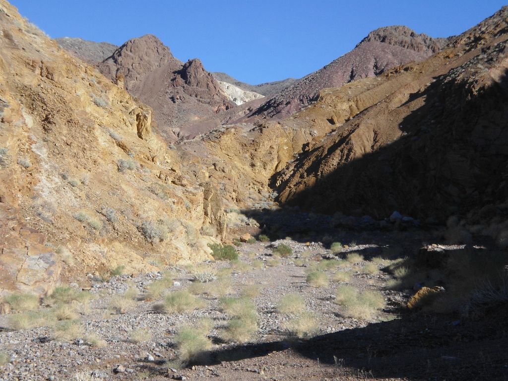 Notice the white hillside is visible in the distance once again.  It was my guide to staying on the right path, since there are several forks in the canyon: