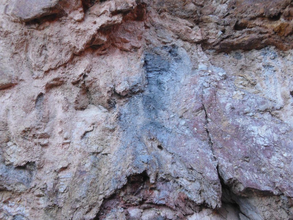 And just across on the opposite canyon wall was a mixture of purple and blue: