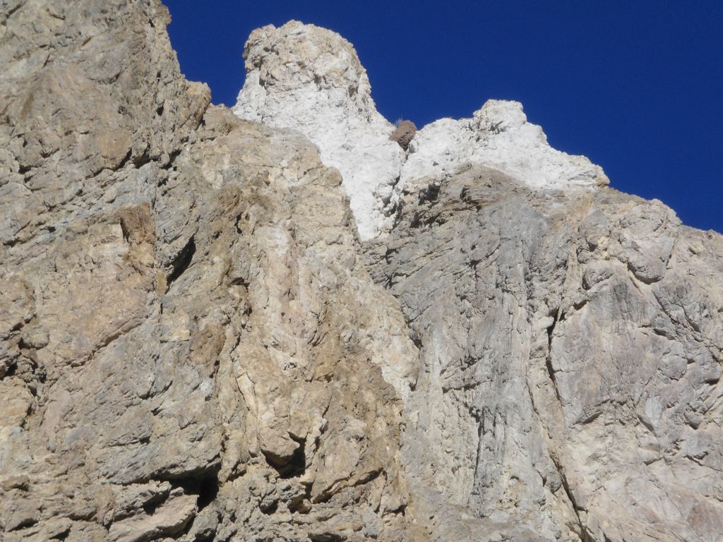 Finally reaching a spot below that white topped hillside which we had seen in the distance much earlier in the hike: