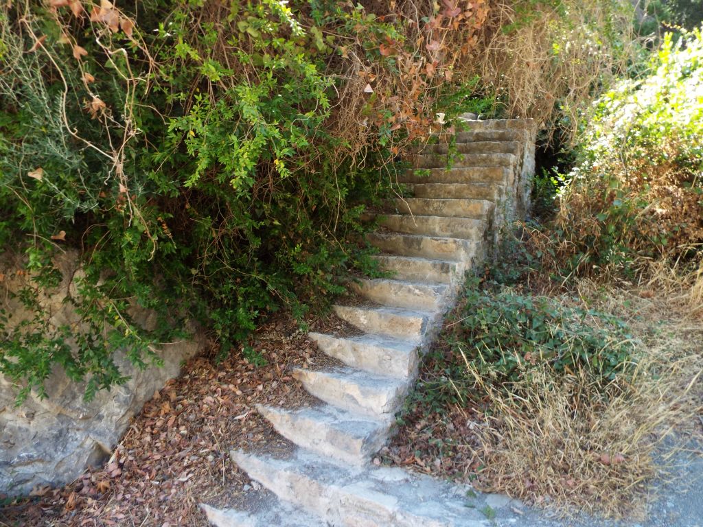 To get into Sarakina Gorge, it is necessary to climb these concrete steps through the brush: