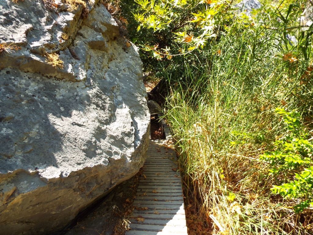 There are a few tight spots like this crossing between a large boulder and some tall grass: