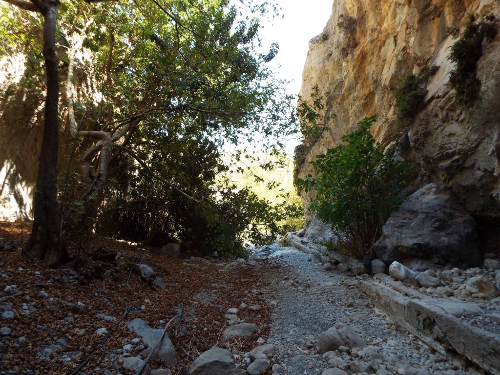 Just inside the mouth of the canyon looking back out: