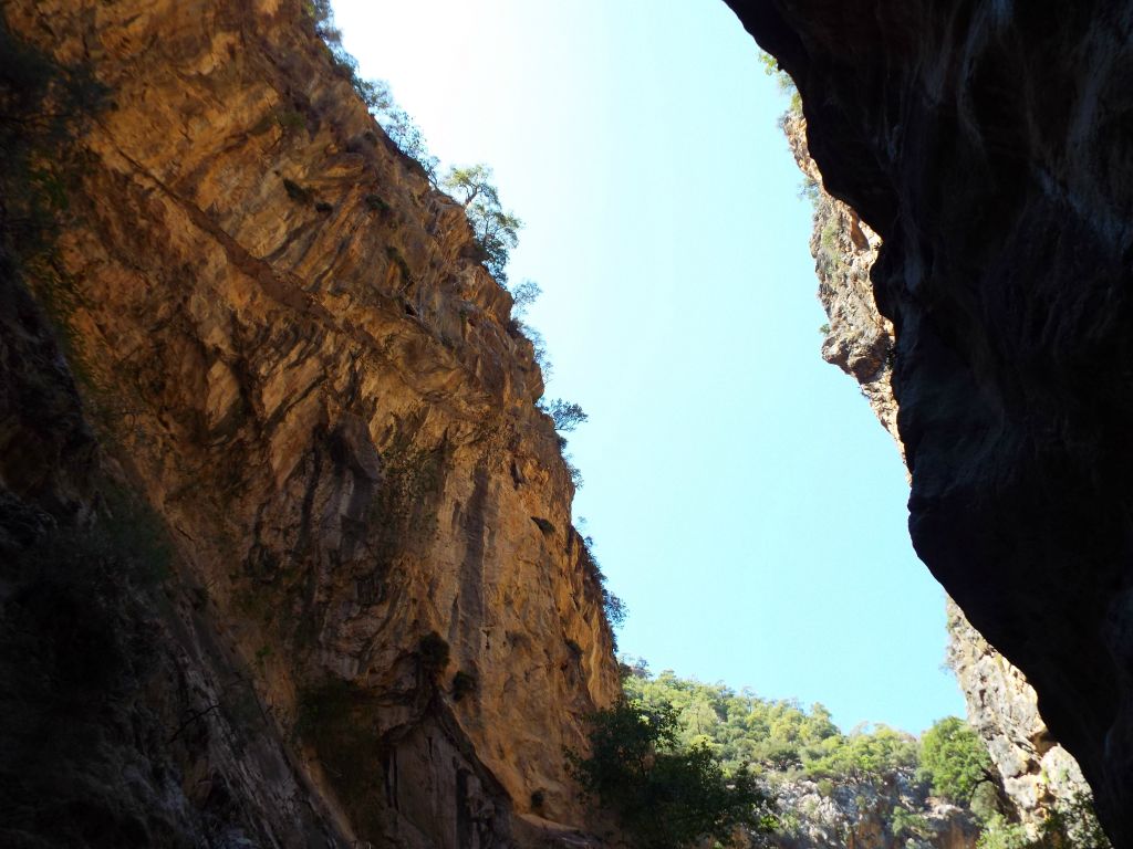 Amazing scenery can be seen high above the canyon on the walls and rim: