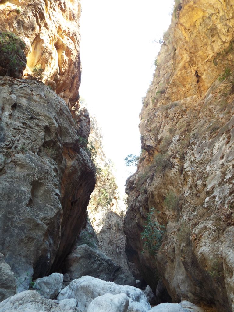 Consistent high narrow walls through the early part of the canyon: