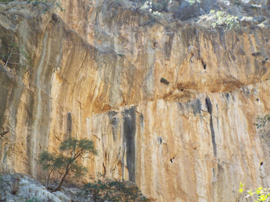 Zooming in on the canyon wall which looks very similar to slickensides back home: