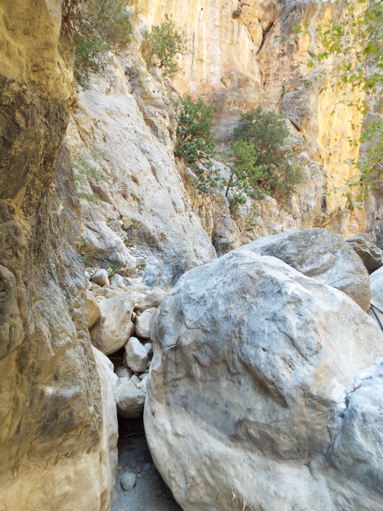 Hopefully you can see what I mean about endless obstacles and climbing spots in the canyon: