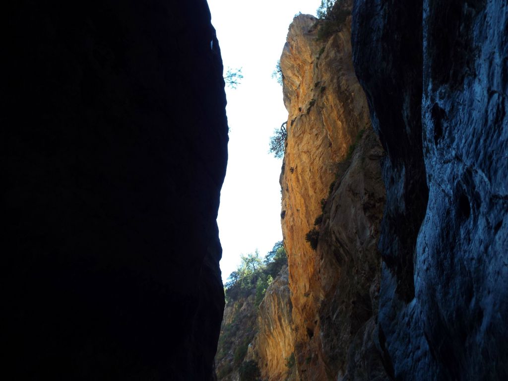 Depending on what time of day you are hiking through here, the sunlight and shadows will create some great contrast pictures: