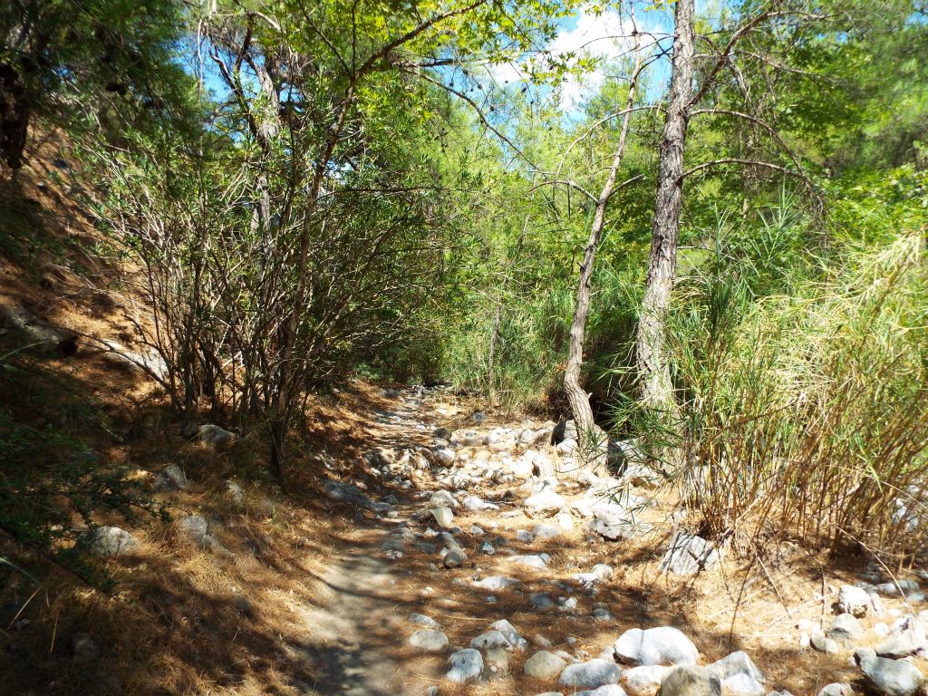 From here, we followed a path which cut through some brush on the left hillside: