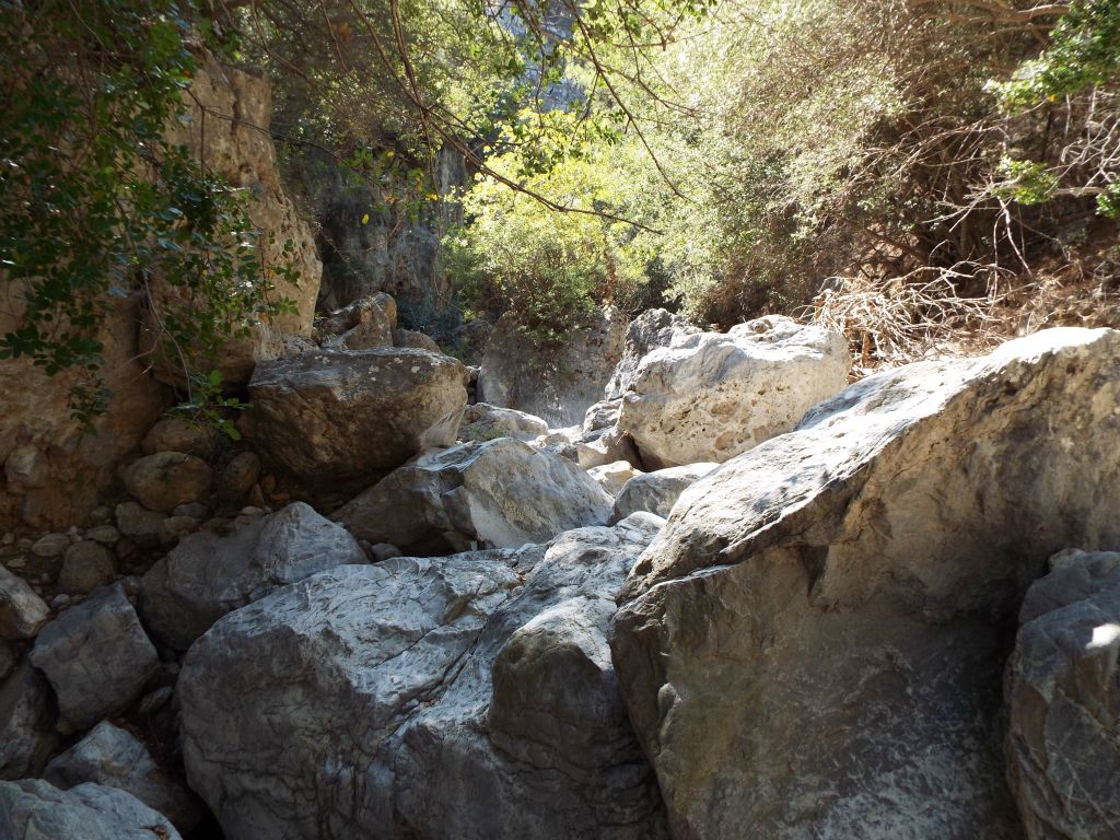 Eventually, we saw an exit sign for the gorge to take the loop hike back.  That spot is what I refer to as the "3-way Split".  To start with, we stayed to the left and attempted to follow Sarakina Gorge farther upstream: