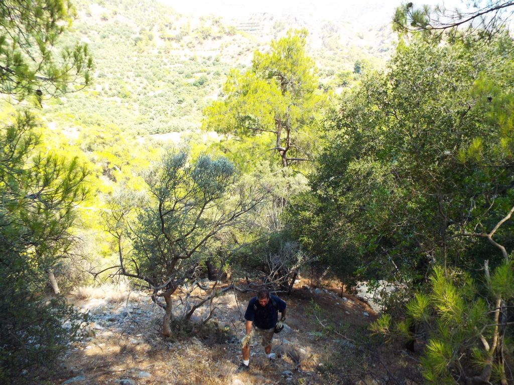 There was no way to safely get back into the canyon.  Thus, we continued more steep hillside climbing, following closely behind some Cretan goats we ran into: