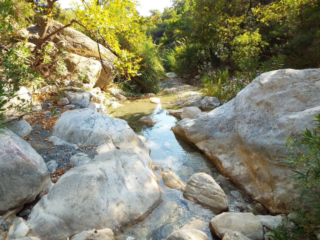 For a while, we hopped across rocks and walked on one side of the stream or the other: