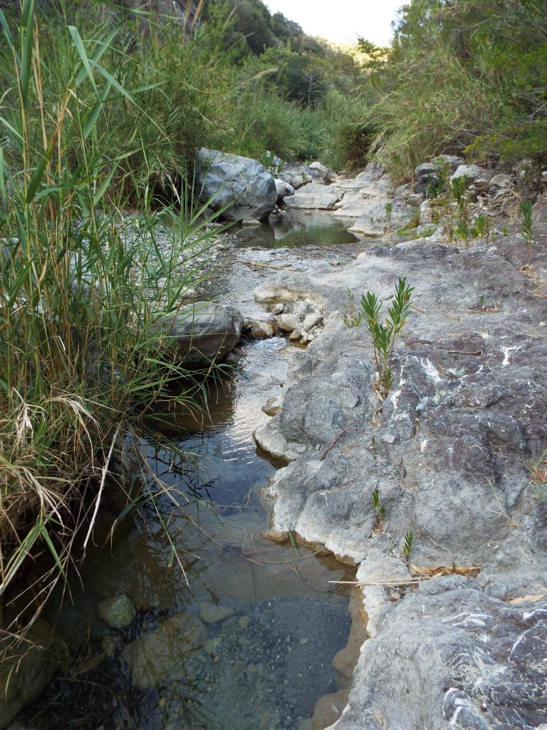 Checking out the bamboo valley proved to be a great addition to this hike: