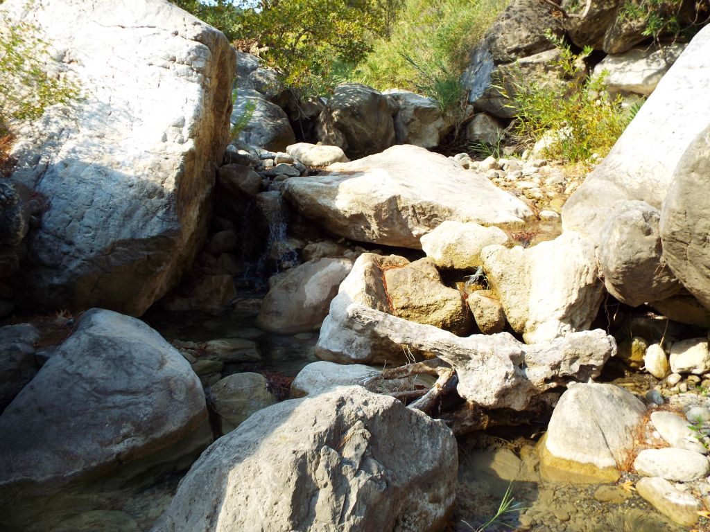 A pretty series of waterfalls began as the steepness of the area increased: