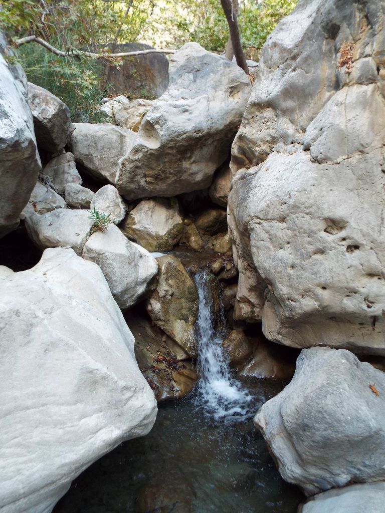 I decided to turn around at this pretty waterfall, because the terrain got steep and the stream seemed to take a sharp turn to the right just above this spot: