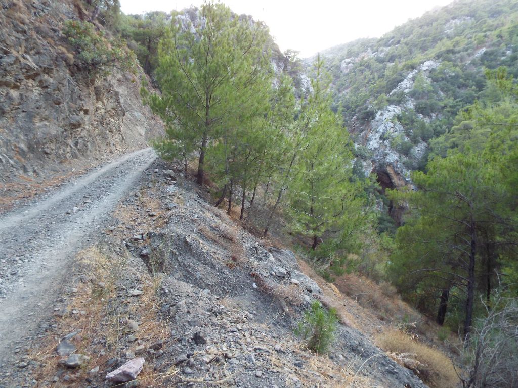 Once back at the 3-way Split again, we took the right hand fork (on our left hiking down canyon) and began the loop route back to the car: