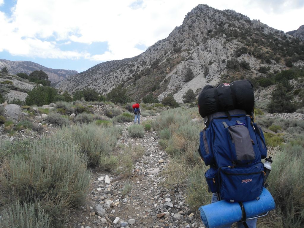 With the entrance to Marvel Canyon on the right, trees start to appear on both sides of the trail for the rest of the journey: