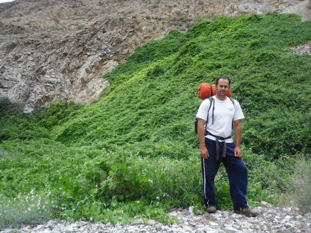 Steve standing directly in front of the source of Limekiln Spring.  Limekiln Eden is hidden somewhere back in the brush: