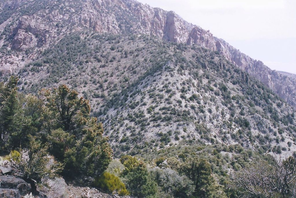 After that, I hiked up towards Sentinel Peak and looked back down at Panamint Pass.  I would return and finish the hike to Sentinel Peak in 2009: