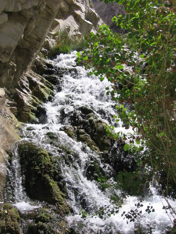 The waterfalls and greenery are spectacular through here.  Check out more of this scenery on our Surprise Canyon trip report page: