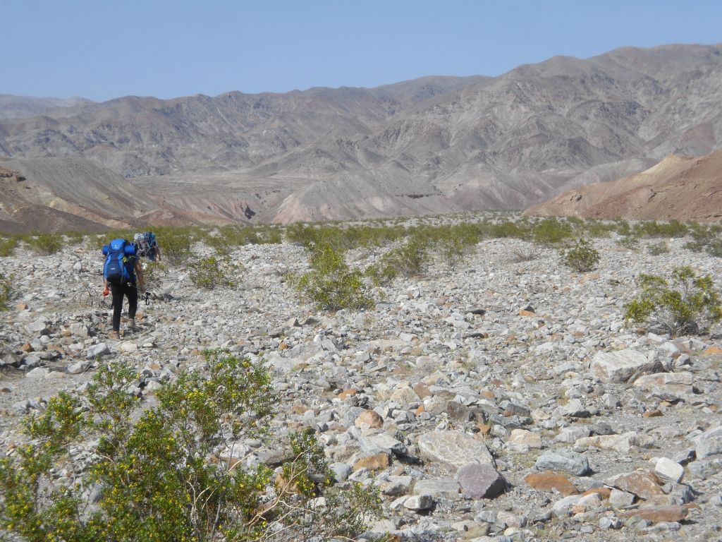 A long, wide stretch of the wash as we got closer to the canyon entrance: