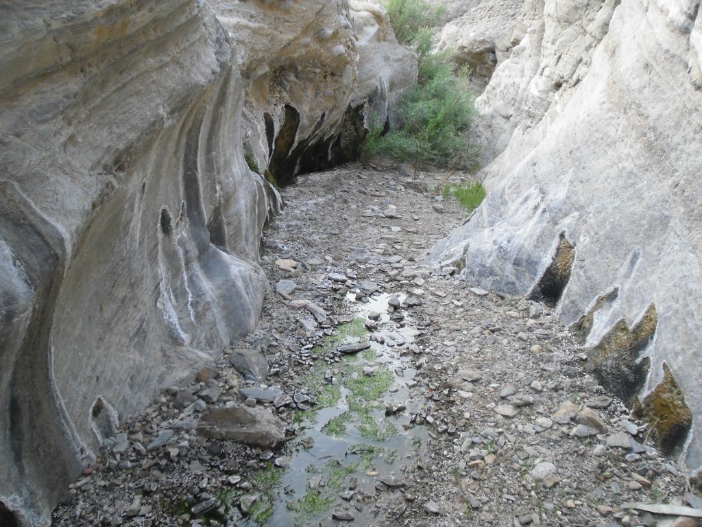 In this slot, surface water flowing from Lower spring's seep was visible: