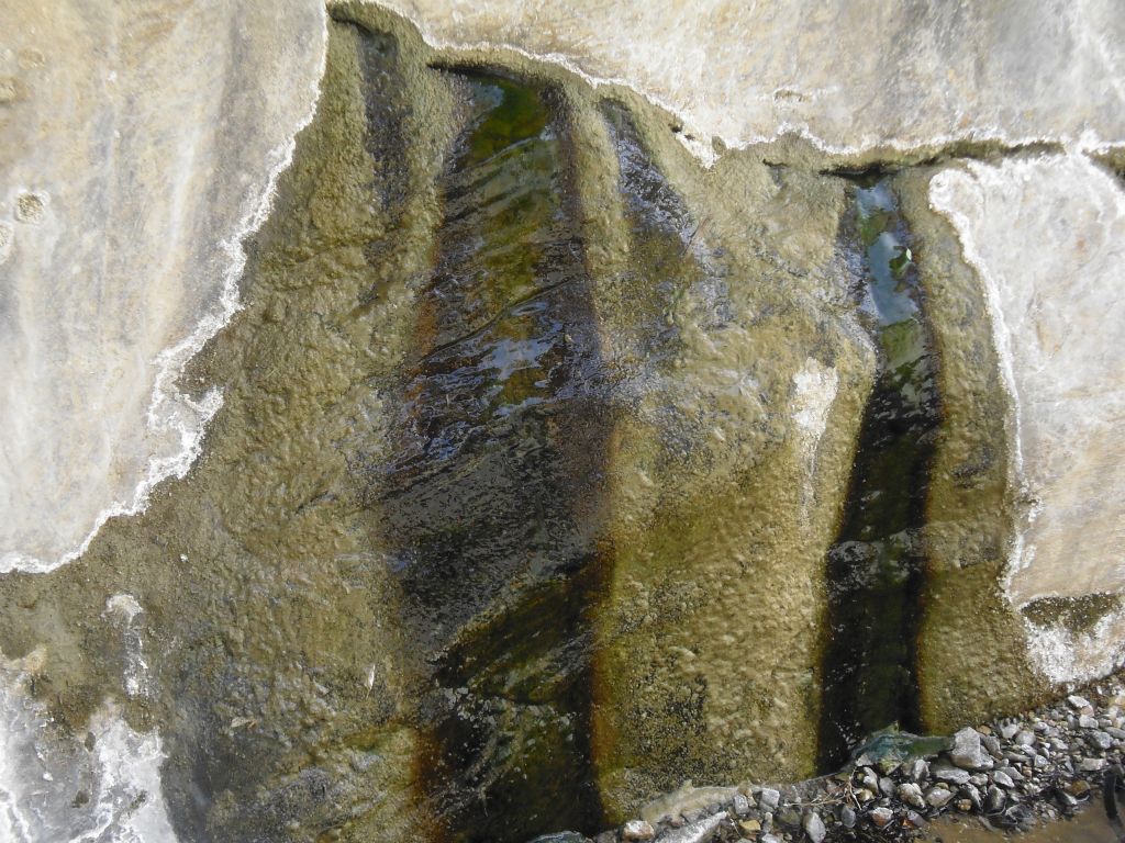 These are the seeps of Lower spring.  Water flows out of the small holes in the rock and then cascades down into a stream.  Upon filling up our bottles here, we packed up camp, backpacked out, helped the injured girl along the way, battled with some gale force winds, and reached our car before sunset: