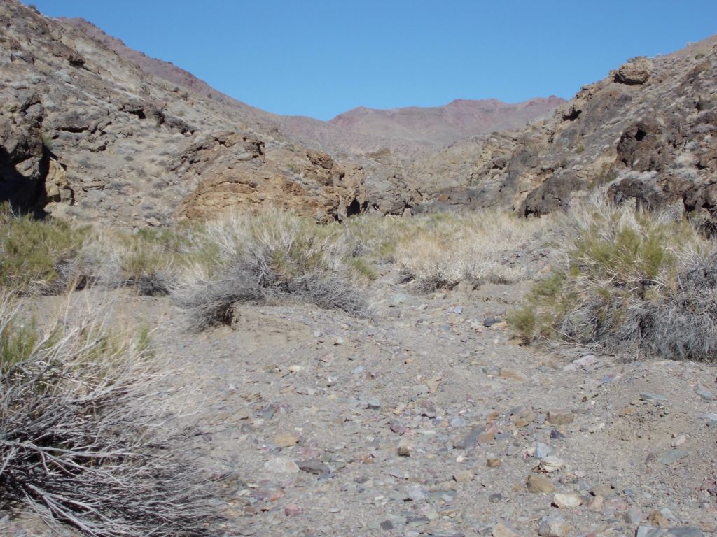 Now we were hiking up a small narrow canyon without much height: