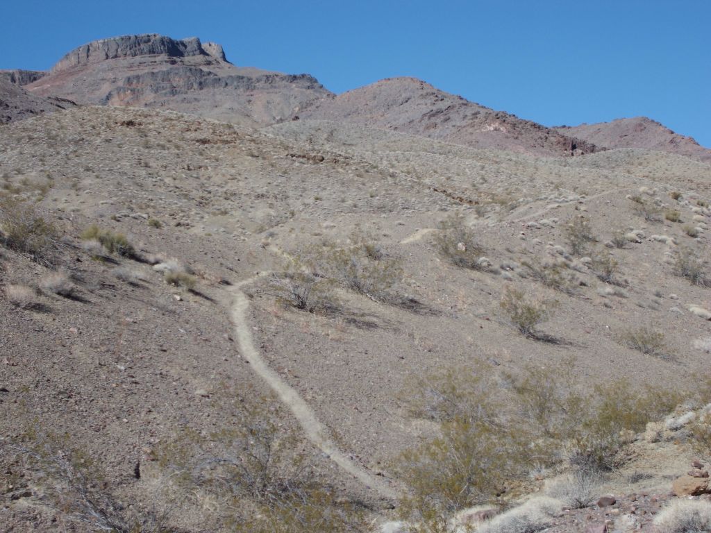 As we started up the ridge, it was evident that a well defined trail would be easy to follow: