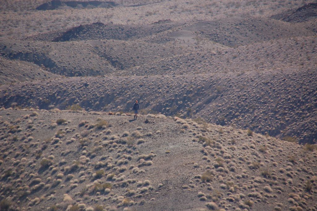 Zooming in on Steve following the trail along the ridge: